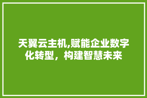 天翼云主机,赋能企业数字化转型，构建智慧未来 天翼云主机,赋能企业数字化转型，构建智慧未来 百度SEO