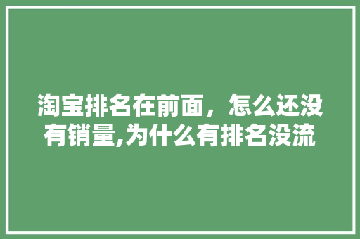淘宝排名在前面，怎么还没有销量,为什么有排名没流量的手机。 淘宝排名在前面，怎么还没有销量,为什么有排名没流量的手机。 搜狗SEO