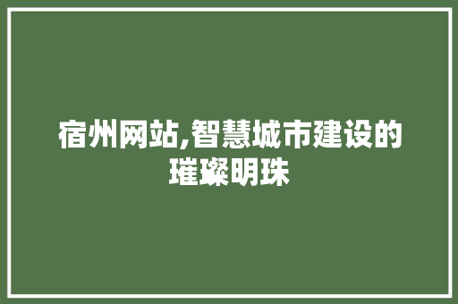 宿州网站,智慧城市建设的璀璨明珠 宿州网站,智慧城市建设的璀璨明珠 必应SEO