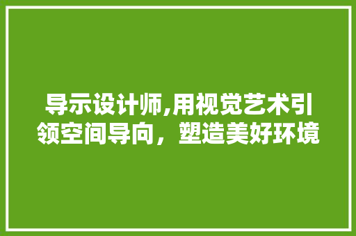 导示设计师,用视觉艺术引领空间导向，塑造美好环境