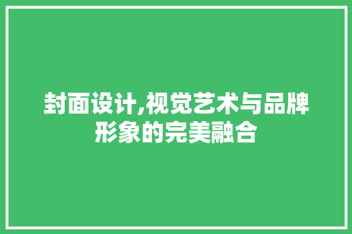 封面设计,视觉艺术与品牌形象的完美融合 封面设计,视觉艺术与品牌形象的完美融合 百度SEO