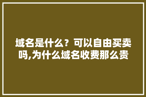 域名是什么？可以自由买卖吗,为什么域名收费那么贵。 域名是什么？可以自由买卖吗,为什么域名收费那么贵。 网站建设公司
