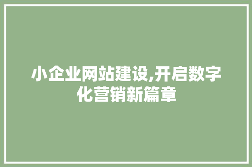 小企业网站建设,开启数字化营销新篇章 小企业网站建设,开启数字化营销新篇章 神马SEO