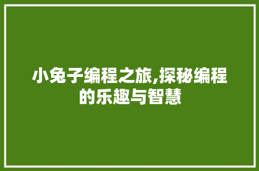 小兔子编程之旅,探秘编程的乐趣与智慧