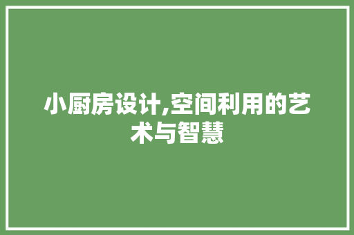 小厨房设计,空间利用的艺术与智慧 小厨房设计,空间利用的艺术与智慧 SEO关键词