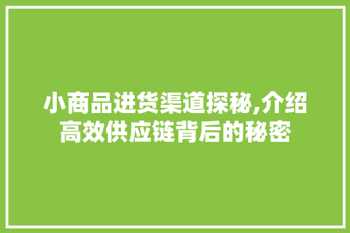 小商品进货渠道探秘,介绍高效供应链背后的秘密