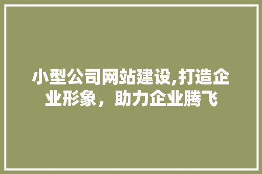 小型公司网站建设,打造企业形象，助力企业腾飞 小型公司网站建设,打造企业形象，助力企业腾飞 SEO关键词