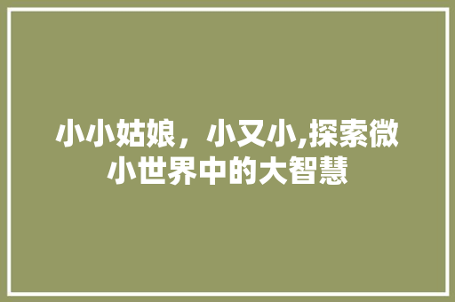 小小姑娘，小又小,探索微小世界中的大智慧 小小姑娘，小又小,探索微小世界中的大智慧 网站建设公司