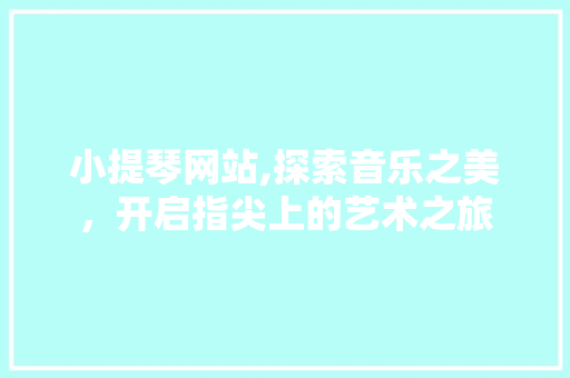 小提琴网站,探索音乐之美，开启指尖上的艺术之旅 小提琴网站,探索音乐之美，开启指尖上的艺术之旅 百度SEO