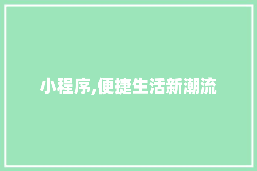 小程序,便捷生活新潮流 小程序,便捷生活新潮流 神马SEO