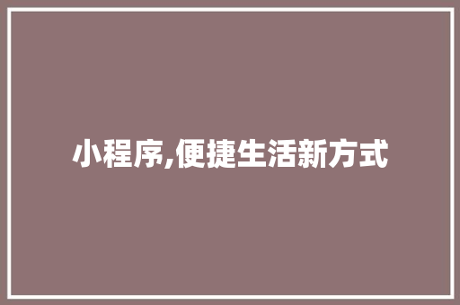 小程序,便捷生活新方式