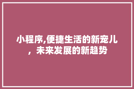 小程序,便捷生活的新宠儿，未来发展的新趋势