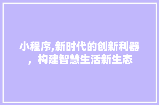 小程序,新时代的创新利器，构建智慧生活新生态 小程序,新时代的创新利器，构建智慧生活新生态 SEO关键词