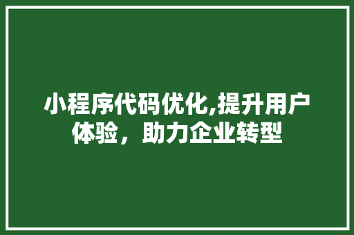 小程序代码优化,提升用户体验，助力企业转型
