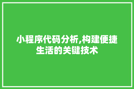 小程序代码分析,构建便捷生活的关键技术 小程序代码分析,构建便捷生活的关键技术 搜狗SEO