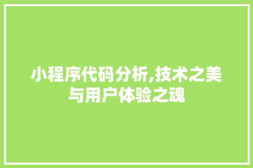 小程序代码分析,技术之美与用户体验之魂 小程序代码分析,技术之美与用户体验之魂 必应SEO
