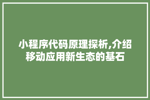 小程序代码原理探析,介绍移动应用新生态的基石