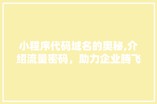 小程序代码域名的奥秘,介绍流量密码，助力企业腾飞 小程序代码域名的奥秘,介绍流量密码，助力企业腾飞 神马SEO