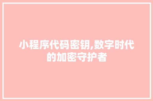 小程序代码密钥,数字时代的加密守护者