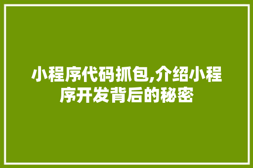 小程序代码抓包,介绍小程序开发背后的秘密 小程序代码抓包,介绍小程序开发背后的秘密 必应SEO