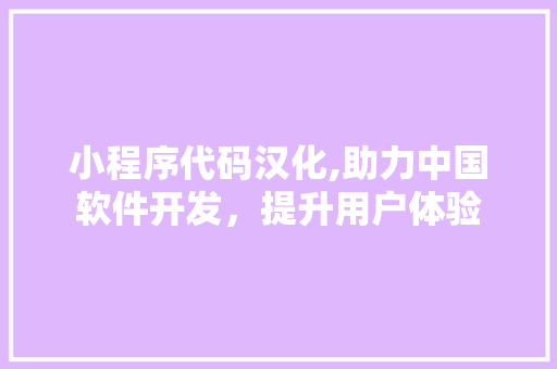 小程序代码汉化,助力中国软件开发，提升用户体验