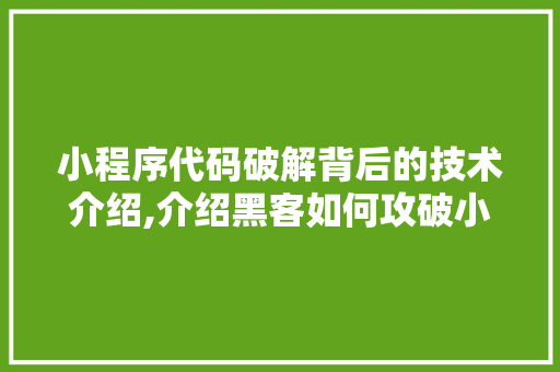 小程序代码破解背后的技术介绍,介绍黑客如何攻破小程序安全防线 小程序代码破解背后的技术介绍,介绍黑客如何攻破小程序安全防线 网站建设公司