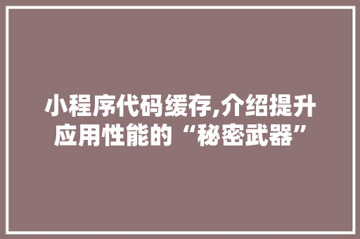 小程序代码缓存,介绍提升应用性能的“秘密武器” 小程序代码缓存,介绍提升应用性能的“秘密武器” 网站建设公司