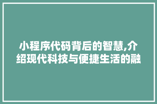小程序代码背后的智慧,介绍现代科技与便捷生活的融合