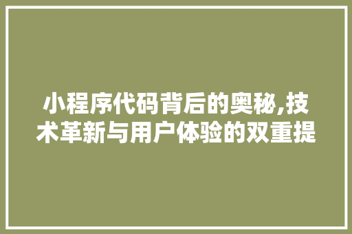 小程序代码背后的奥秘,技术革新与用户体验的双重提升 小程序代码背后的奥秘,技术革新与用户体验的双重提升 SEO关键词