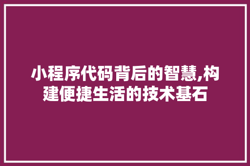 小程序代码背后的智慧,构建便捷生活的技术基石