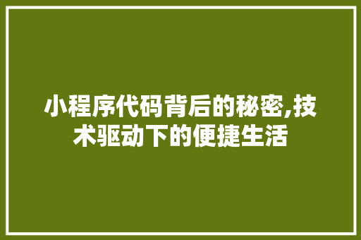 小程序代码背后的秘密,技术驱动下的便捷生活
