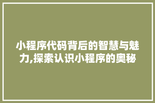 小程序代码背后的智慧与魅力,探索认识小程序的奥秘