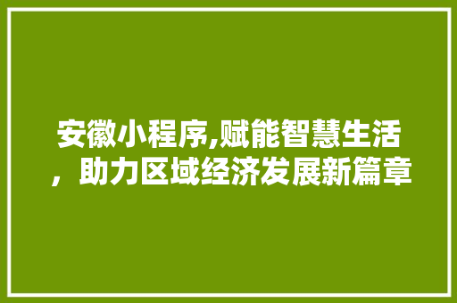 安徽小程序,赋能智慧生活，助力区域经济发展新篇章 安徽小程序,赋能智慧生活，助力区域经济发展新篇章 百度SEO