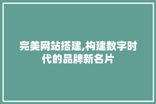 完美网站搭建,构建数字时代的品牌新名片