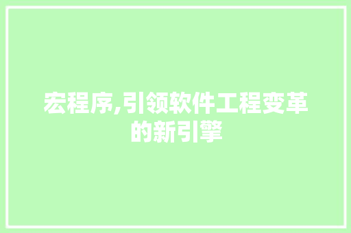 宏程序,引领软件工程变革的新引擎