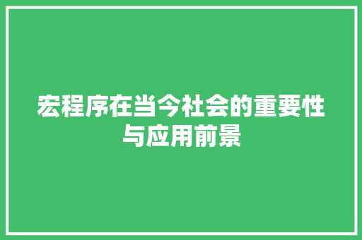 宏程序在当今社会的重要性与应用前景