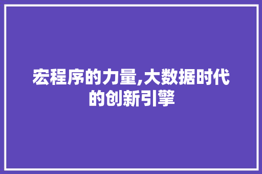 宏程序的力量,大数据时代的创新引擎 宏程序的力量,大数据时代的创新引擎 必应SEO
