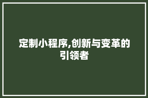 定制小程序,创新与变革的引领者 定制小程序,创新与变革的引领者 SEO关键词
