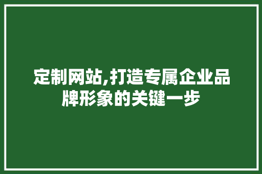 定制网站,打造专属企业品牌形象的关键一步 定制网站,打造专属企业品牌形象的关键一步 搜狗SEO