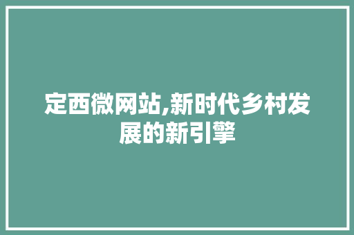 定西微网站,新时代乡村发展的新引擎