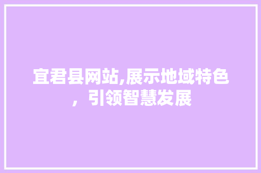 宜君县网站,展示地域特色，引领智慧发展 宜君县网站,展示地域特色，引领智慧发展 SEO关键词