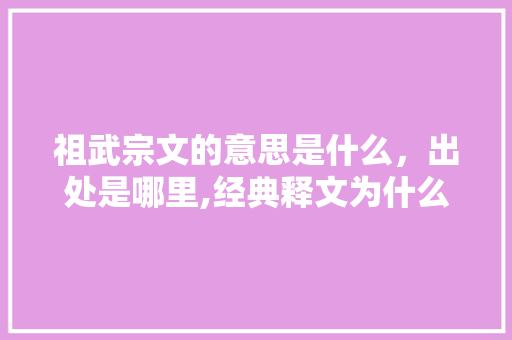 祖武宗文的意思是什么，出处是哪里,经典释文为什么注音不了。 祖武宗文的意思是什么，出处是哪里,经典释文为什么注音不了。 神马SEO