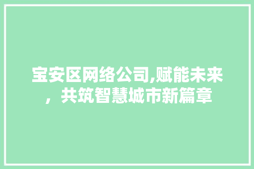 宝安区网络公司,赋能未来，共筑智慧城市新篇章 宝安区网络公司,赋能未来，共筑智慧城市新篇章 必应SEO