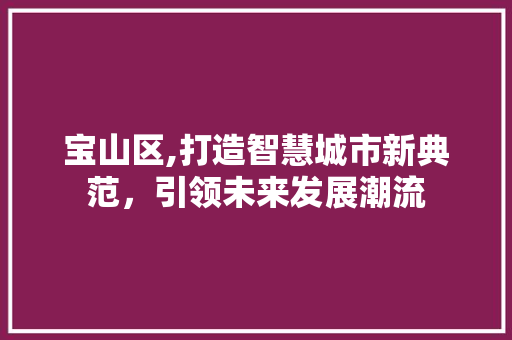 宝山区,打造智慧城市新典范，引领未来发展潮流 宝山区,打造智慧城市新典范，引领未来发展潮流 神马SEO
