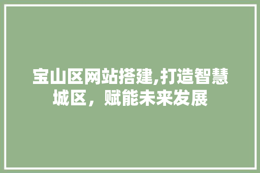 宝山区网站搭建,打造智慧城区，赋能未来发展 宝山区网站搭建,打造智慧城区，赋能未来发展 SEO关键词