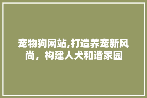 宠物狗网站,打造养宠新风尚，构建人犬和谐家园