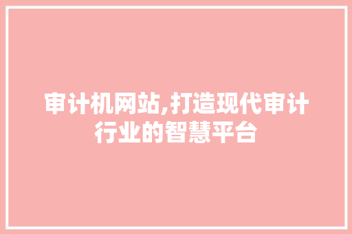 审计机网站,打造现代审计行业的智慧平台 审计机网站,打造现代审计行业的智慧平台 网站建设公司