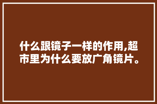 什么跟镜子一样的作用,超市里为什么要放广角镜片。 什么跟镜子一样的作用,超市里为什么要放广角镜片。 SEO关键词