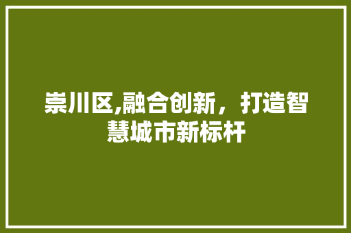 崇川区,融合创新，打造智慧城市新标杆