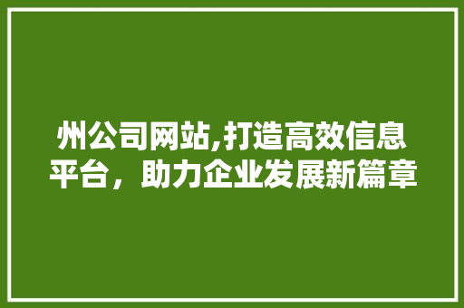州公司网站,打造高效信息平台，助力企业发展新篇章
